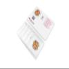 Yogurt Starter Cultures for Homemade Preparation of L.Salivarius and L.Reuteri Yogurt (Pack of 5 sachets) view 3
