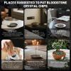 1.1 lb Polished Bloodstone Chips | Natural Healing Crystal Stones for Grounding & Energy Protection, Root Chakra, Meditation, Plants, DIY & Home Deco view 4