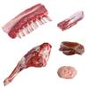 Whole Deer with Head, Liver and Brain 30kg -/+10%  Halal Freshly Frozen Venison for Roasting, Stews & Traditional Dishes  Premium Wild Game Meat view 1