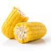 Corn On The Cob x 5 pack view 1