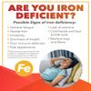 NaturesPlus Hema Plex - Gentle Iron Supplement with Vitamin C, Methyl B12, Folate - Blood Health, Immune Support, Energy - Vegan, Gluten Free - 30 Tablets view 3
