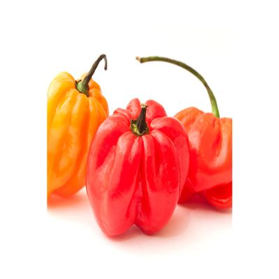 Fresh Hot Peppers 1kg -/+10%  Spicy Red & Green Chillies  Ideal for Cooking, Curries, Pickles & Seasoning  Farm Fresh Produce
