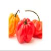 Fresh Hot Peppers 1kg -/+10%  Spicy Red & Green Chillies  Ideal for Cooking, Curries, Pickles & Seasoning  Farm Fresh Produce view 1