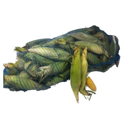 Fresh Corn on the Cob 60 units | Husk On