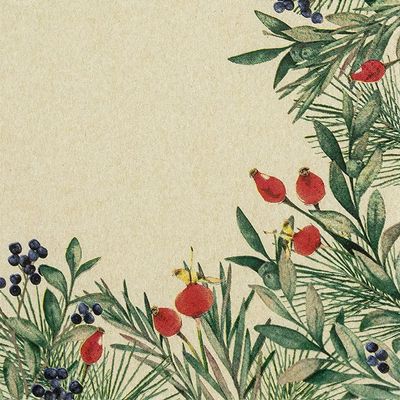 20 Napkins Eco Line Sustainable Made from 100% Recycled Paper Rose Hips Plants Natural Table Decoration 33 x 33 cm