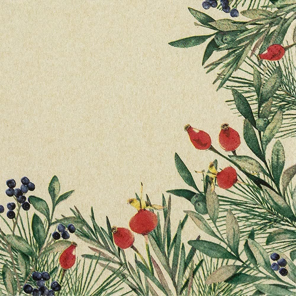 20 Napkins Eco Line Sustainable Made from 100% Recycled Paper Rose Hips Plants Natural Table Decoration 33 x 33 cm