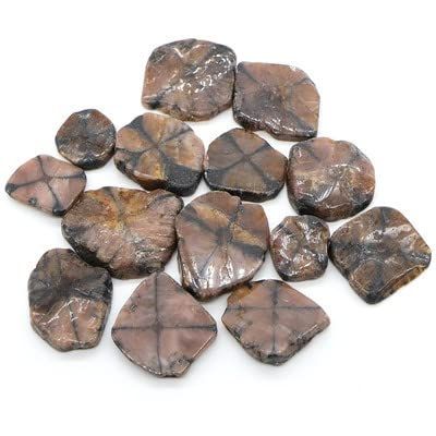 Natural Malachite Turquoise Quartz Crystals and Healing Stones Tumbled Bulk Mineral Specime Gemstones Home Aquarium Decoration-Chiastolite Quartz,200g
