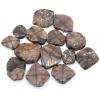 Natural Malachite Turquoise Quartz Crystals and Healing Stones Tumbled Bulk Mineral Specime Gemstones Home Aquarium Decoration-Chiastolite Quartz,200g view 1