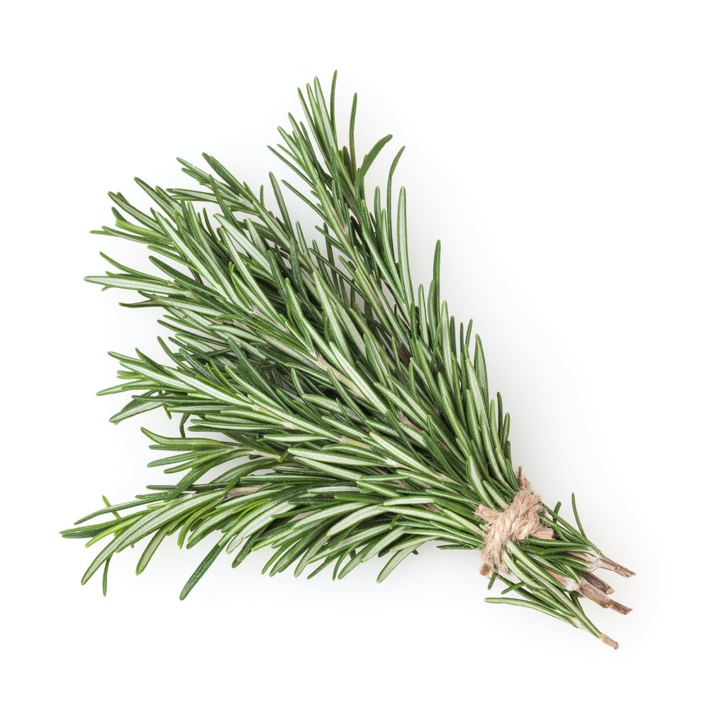 Tesco Fresh Rosemary 20gr x 20 pack