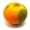 Fresh Lulo Fruit 4 Units x 5 Pack | Exotic Naranjilla Fruit | Tangy Tropical Citrus Flavor | Fresh & Chilled | Ideal for Juices, Smoothies & Desserts view 1