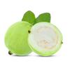 Guava 4 Units x 5 pack view 1