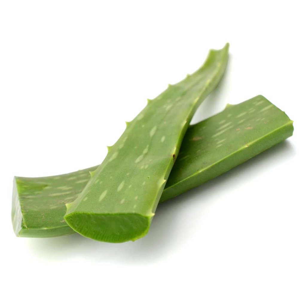 Fresh Aloe Vera Leaves 3 kg -/+ 10% | Natural Aloe Barbadensis | 100% Raw & Unprocessed | Ideal for Drinks, Juicing, Skin & Hair Care | Freshly Harvested, Premium Quality
