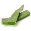 Fresh Aloe Vera Leaves 3 kg -/+ 10% | Natural Aloe Barbadensis | 100% Raw & Unprocessed | Ideal for Drinks, Juicing, Skin & Hair Care | Freshly Harvested, Premium Quality view 1