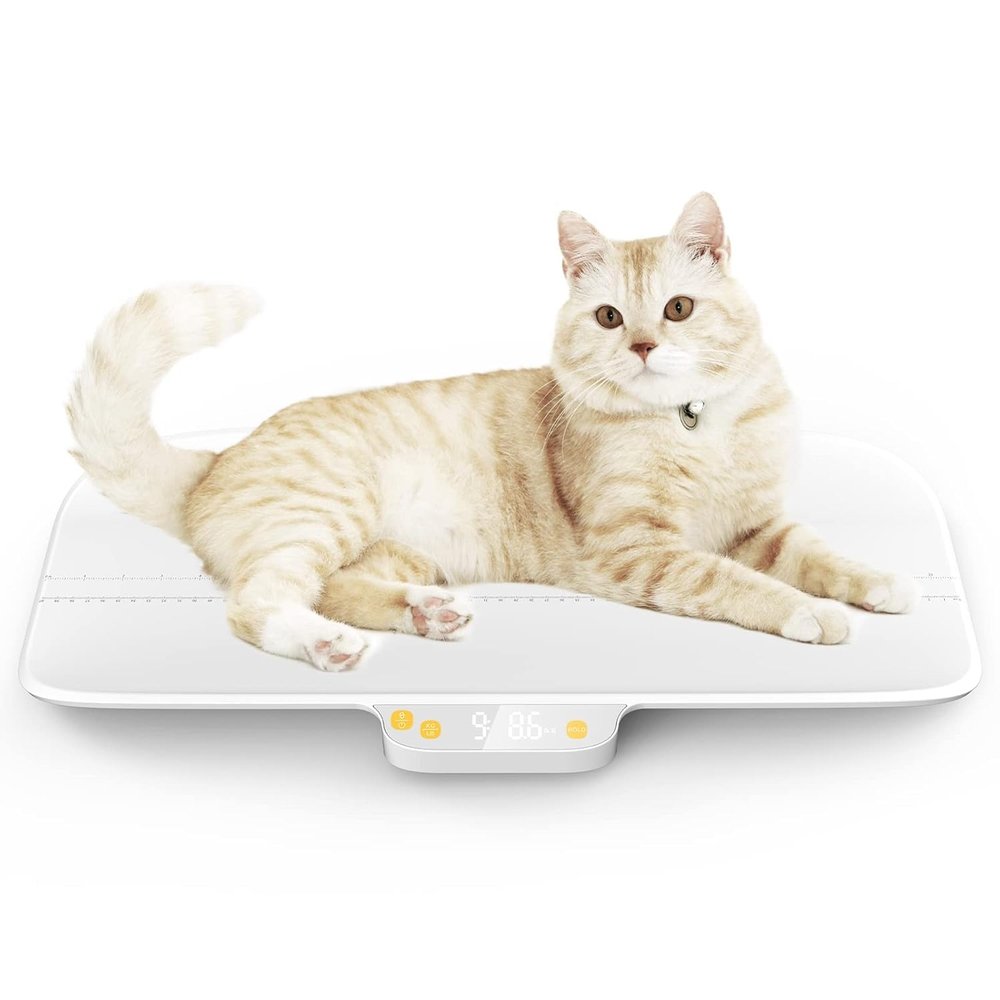 Digital Pet Scale for Dogs and Cats, Large dog scale,Max 220lbs,Rechargeable Version, 3 Weighing Modes lbs,kg,st,Precision 10g, 27.1612.99 Inches (Kilograms, 30)