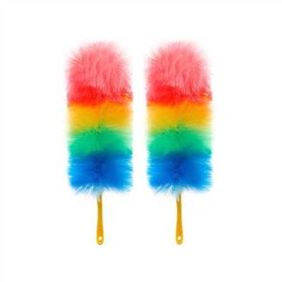 TOMYEUS Dusters Net Red Chicken Feather Duster Hair Duster Anti-static Household Dust Removal Color Plastic Nylon Cleaning Tool Feather Dusters (Color : Color 62cm(2pcs))