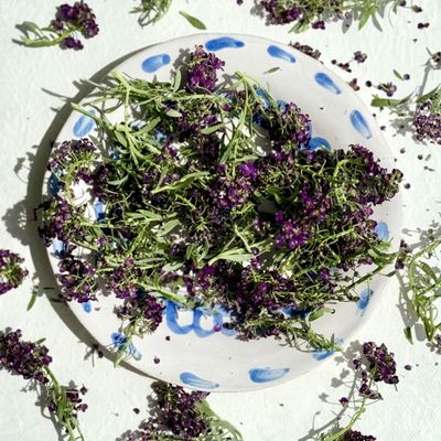 Edible Freeze Dried Purple Alyssum Flowers - 200ml - UK Grown & Dried - Cake - Bake - Decoration (459)