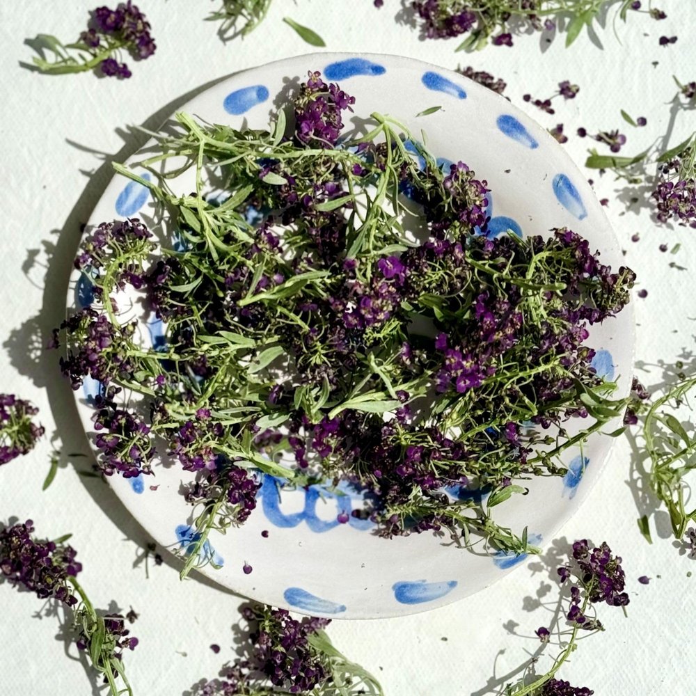 Edible Freeze Dried Purple Alyssum Flowers - 200ml - UK Grown & Dried - Cake - Bake - Decoration (459)