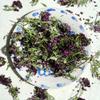 Edible Freeze Dried Purple Alyssum Flowers - 200ml - UK Grown & Dried - Cake - Bake - Decoration (459) view 1