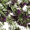 Edible Freeze Dried Purple Alyssum Flowers - 200ml - UK Grown & Dried - Cake - Bake - Decoration (459) view 3