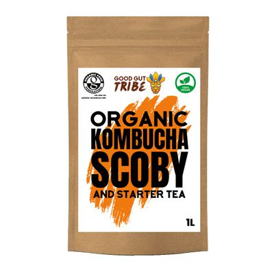 1L Organic Kombucha SCOBY