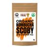 1L Organic Kombucha SCOBY view 1
