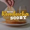 1L Organic Kombucha SCOBY view 2