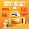 MOJU 2x Ginger, 2x Turmeric Dosing Bottles (4 x 420ml), Morning Wake Up/Afternoon Lift, Whole Ingredients, Nothing Artificial, Vegan, Ginger Shots view 2
