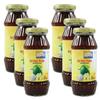 Ashoka Gor-Keri (Sweet Mango Pickle) 575g (Pack of 6)- Perfect as a Side Condiment for Any Indian Dish - Eaten With Indian Dinner or With Indian Breakfast view 1