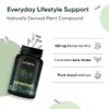 Ambrosial Berberine HCL 500mg  High Strength Berberine Capsules for Men & Women  Vegan, Non-GMO, Gluten-Free, Allergen-Free  GMP Certified, Natural Wellness Support  60 Capsules (2 Months Supply) view 4