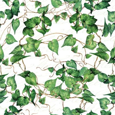 ti-flair 20 Napkins Natural Ivy Leaves | Ivy | Plant | Table Decoration | Decoupage | Napkin Technology 33 x 33 cm