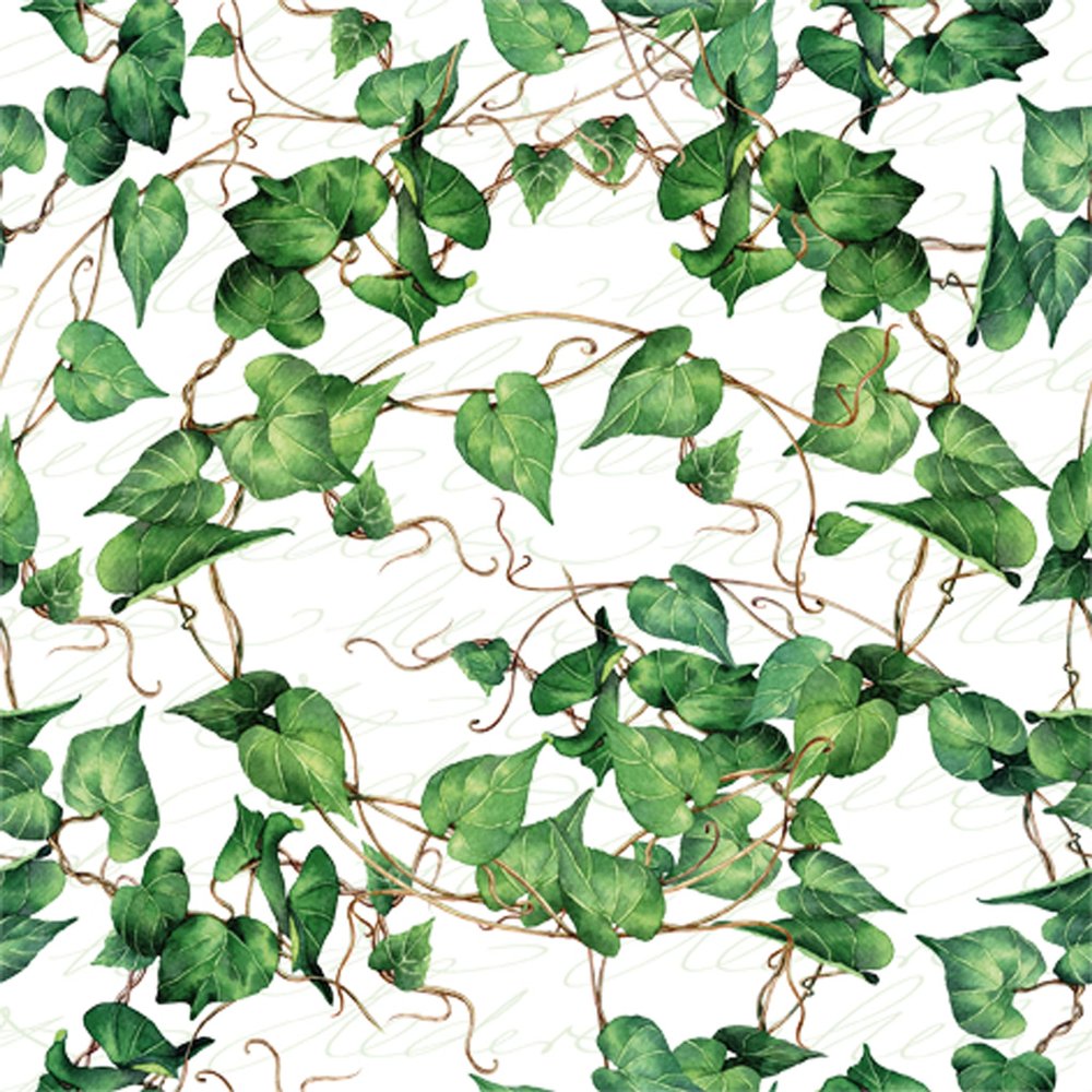 ti-flair 20 Napkins Natural Ivy Leaves | Ivy | Plant | Table Decoration | Decoupage | Napkin Technology 33 x 33 cm