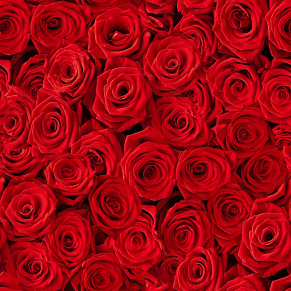 ti-flair 20 Red Rose Bed Roses Flowers Wedding Napkins 33 x 33 cm, 3-Ply Paper, FSC Certified, Perfect for Decoupage or Decoupage, Ideal for Professional Use