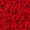 ti-flair 20 Red Rose Bed Roses Flowers Wedding Napkins 33 x 33 cm, 3-Ply Paper, FSC Certified, Perfect for Decoupage or Decoupage, Ideal for Professional Use view 1