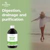 Bandini Detox Slim 500ml Liquid Draining, Digestive, Antioxidant, with 7 Plant Extracts: Green Tea, Dandelion, BlackBerry, Pilosella, Birch and Papaya, 100% Vegan view 2