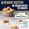 ManiLife Original Roast Smooth Peanut Butter, 900g Tub - Small Batch Vegan Peanut Butter Made from Single Origin Grade-A Argentine Peanuts - No Palm Oil, No Added Sugar, No GMOs view 4