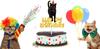 Cat Happy Birthday Cake Topper Black Cat Cake Decorations for Boys Girls Pets Cute Mewo Animal Theme Party Supplies Black Gold Glitter view 3