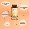 Vegavero BOSWELLIA SERRATA | 9450 mg 15:1 Extract 85% Boswellic Acids | NO Additives | Indian Frankincense Gum Resin Extract | Supports Healthy Bones and Joints | 120 Capsules | Vegan view 3