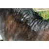 Farriers Equine Care Benzyl Benzoate Cream for Horses ready to Use view 4