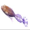 FishLab NSF-35-PBJ Nature Series Flippin Frog 3 1/2" (Peanut Butter Jelly) view 1