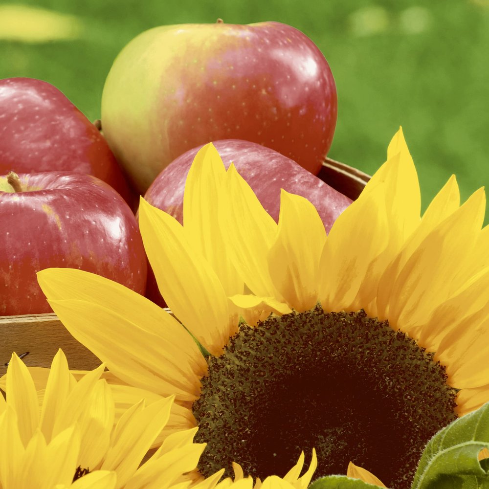 20 napkins, apples and sunflowers in autumn