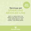 Fever-Tree Sparkling Mexican Lime Soft Drink 24x250ml view 2