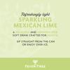Fever-Tree Sparkling Mexican Lime Soft Drink 24x250ml view 3