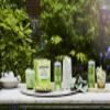 Fever-Tree Sparkling Mexican Lime Soft Drink 24x250ml view 4