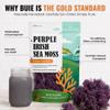 Purple Irish Sea Moss | Wildcrafted from St. Lucia | 440g Makes ~6.8L Sea Moss Gel | 100% Natural, Raw & Sun-Dried | Dr. Sebi Inspired, Nutrient-Rich Irish Moss for Health & Wellness view 3