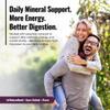Purple Irish Sea Moss | Wildcrafted from St. Lucia | 440g Makes ~6.8L Sea Moss Gel | 100% Natural, Raw & Sun-Dried | Dr. Sebi Inspired, Nutrient-Rich Irish Moss for Health & Wellness view 4