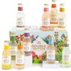 Double Dutch Variety Box  10 x 200ml Premium Mixers | Low Calorie, Vegan-Friendly Tonic Waters for Gin, Vodka, Tequila & Cocktails | Includes Selection of World-Class Soft Drinks & Flavoured Mixers view 1