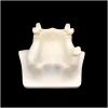 Life -Size Dental Implant Model, Training Teeth Model Maxillary Sinus Lifting Training Model, Doctor-Patient Communication Dental Teeth Implant Model Teeth Dental (A) view 3