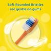 Minions Little Teeth Toothbrush for Kids with Protection Cap, Soft Rounded Bristles, Comfortable Handle Grip and Suction Cup for Upright Storage for Children Ages 3+ view 3