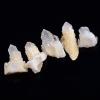 1PCS Natural Crystal Raw Quartz Cluster Clear White Stone Crystal Point Specimen Home Decor Raw Crystals Minerales view 4