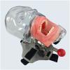 Dental Simulation Simple Head Mold - Dental Mannequin Simple Practice Removable Stomatology Teaching Tooth Preparation Orthodontic Restoration Headform view 4
